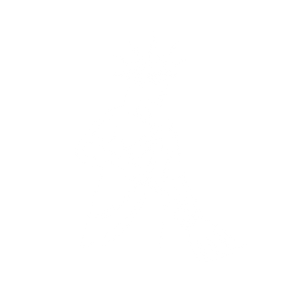 Takes Two Cleaning NYC